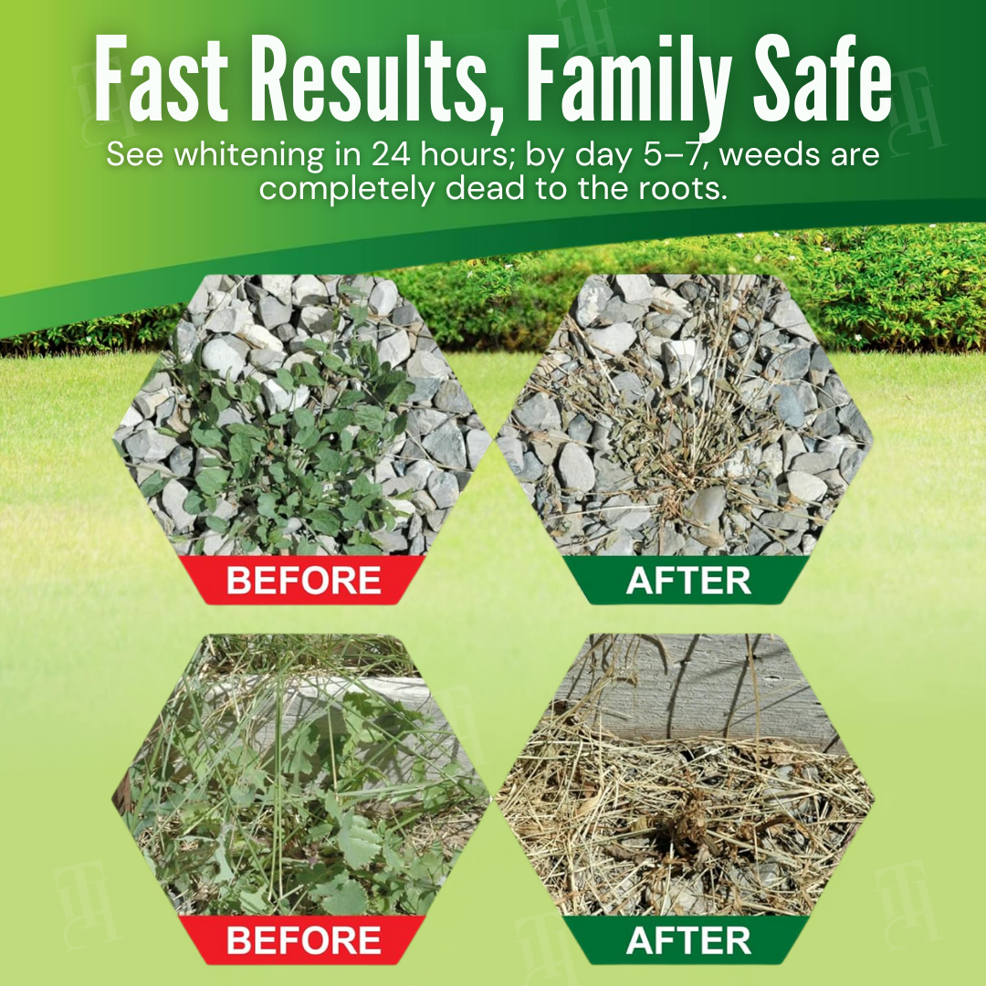 [Official Store] AEXZR® 3 in 1 Max Power Herbicide– Kills Weeds in 24 Hours, Safe for Kids & Pets